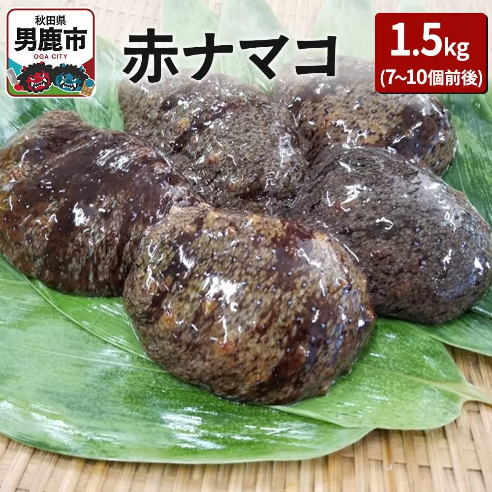 [期間限定]赤ナマコ 約1.5kg (7〜10個前後) なまこ 海風丸 秋田県 男鹿市 秋田県男鹿市