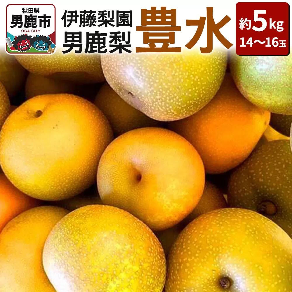 [先行受付]男鹿梨 「伊藤梨園」の豊水 梨 約5kg 2L〜3L 14〜16玉 秋田県 男鹿市 旬の果物 2026年9月下旬以降出荷 秋田県男鹿市