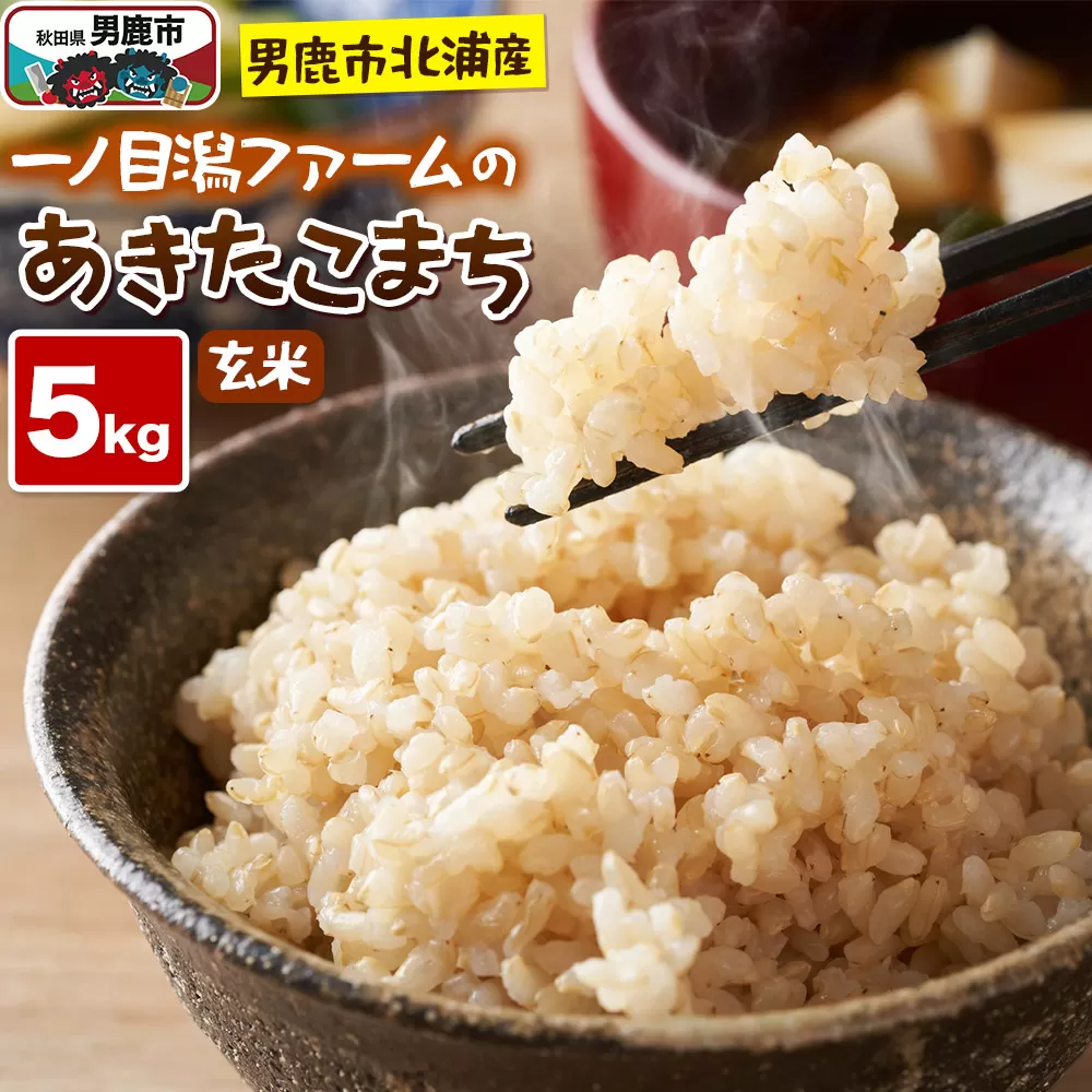 [令和7年産]「秋田県男鹿市北浦産」あきたこまち(玄米)5kg 秋田県男鹿市