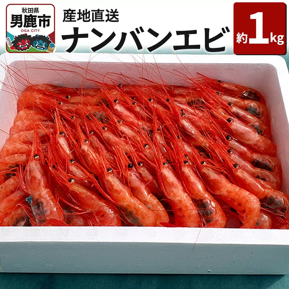 産地直送 ナンバンエビ 約1kg！ ぷりっぷりでとろける甘さ お刺身や海鮮丼に 秋田県 男鹿市 萬漁水産 [産地直送] 秋田県男鹿市