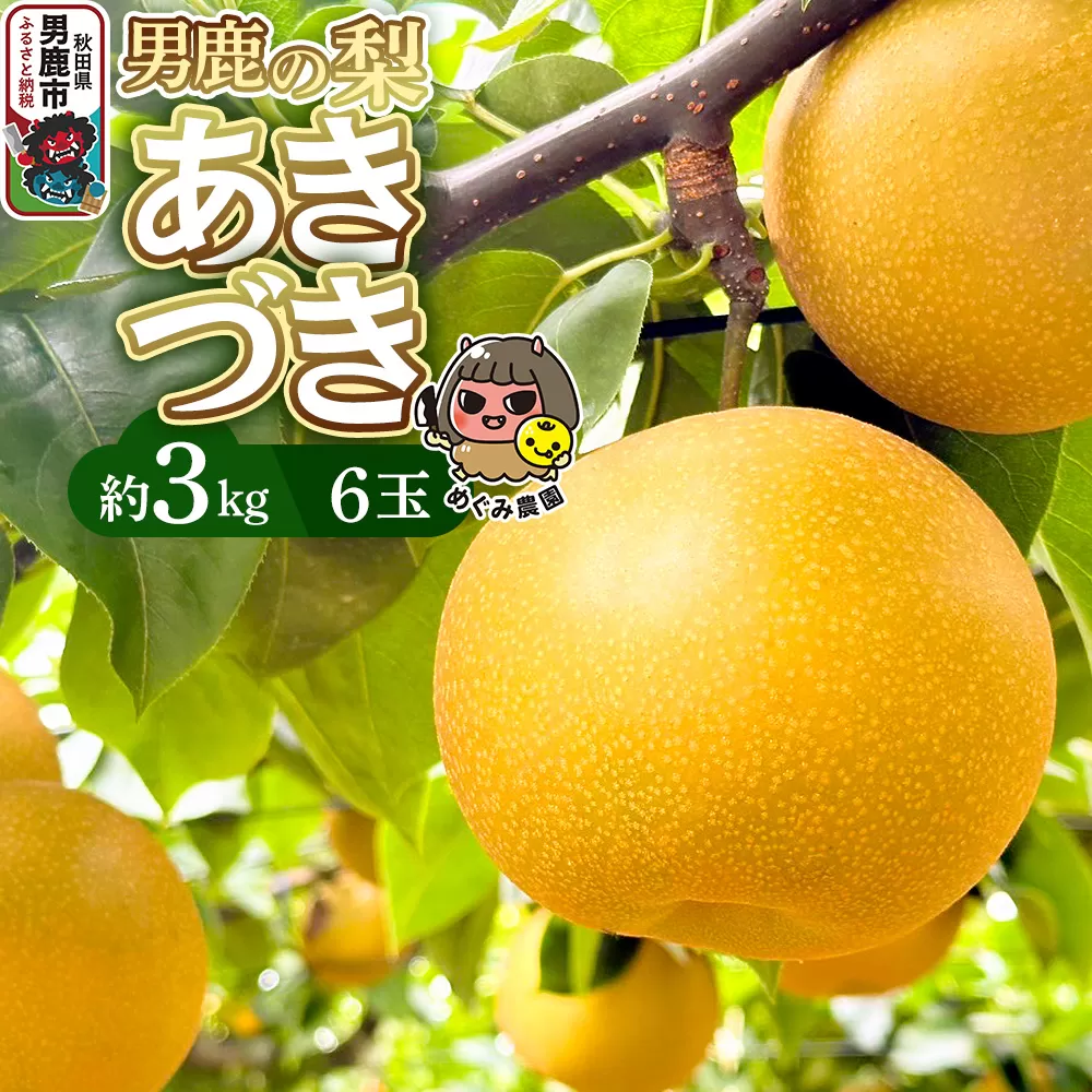 先行受付 男鹿の梨 あきづき 約3kg 6玉 梨 秋田県 男鹿市 ＜めぐみ農園＞