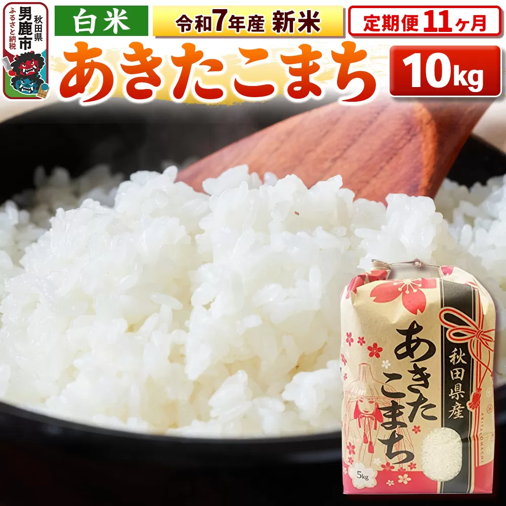 《定期便11ヶ月》令和7年産 新米 【白米】秋田県産 あきたこまち 10kg（5kg×2袋） 男鹿市