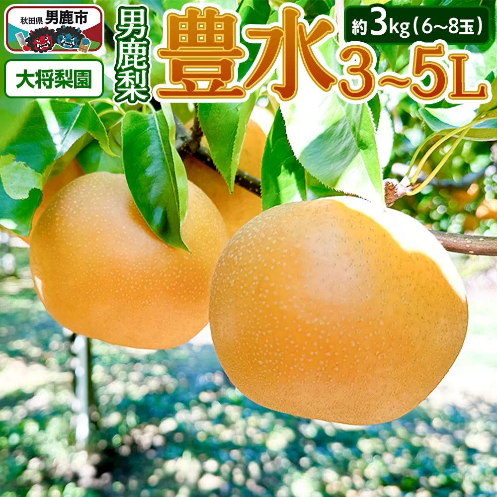 【先行受付】9月中旬〜下旬発送 男鹿梨「大将梨園」豊水 約3kg 6〜8玉 3〜5L 梨 秋田県 男鹿市 男鹿市