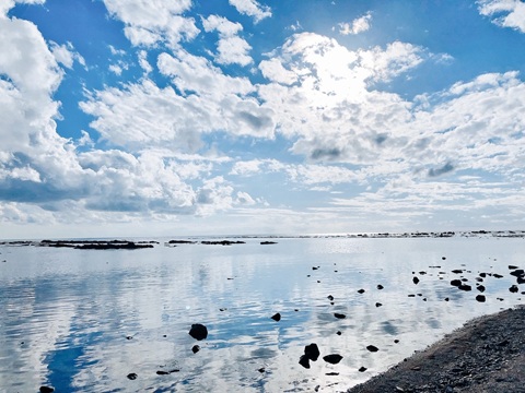 鵜ノ崎海岸