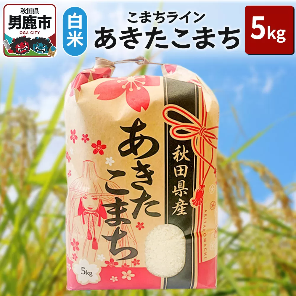 令和6年産【白米】秋田県産 あきたこまち 5kg 秋田県 男鹿市 こまちライン