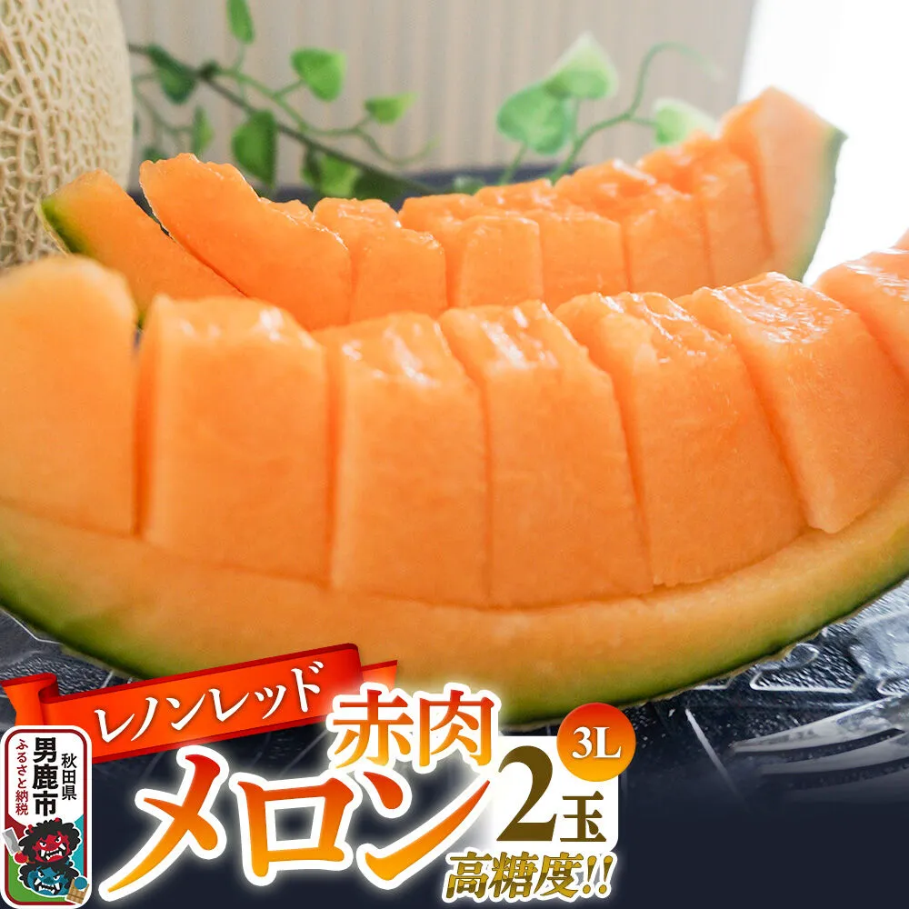 R8年度産 先行受付 メロン3L（1.3キロ前後）×2玉（レノンレッド）秋田県 男鹿市 秋田県男鹿市