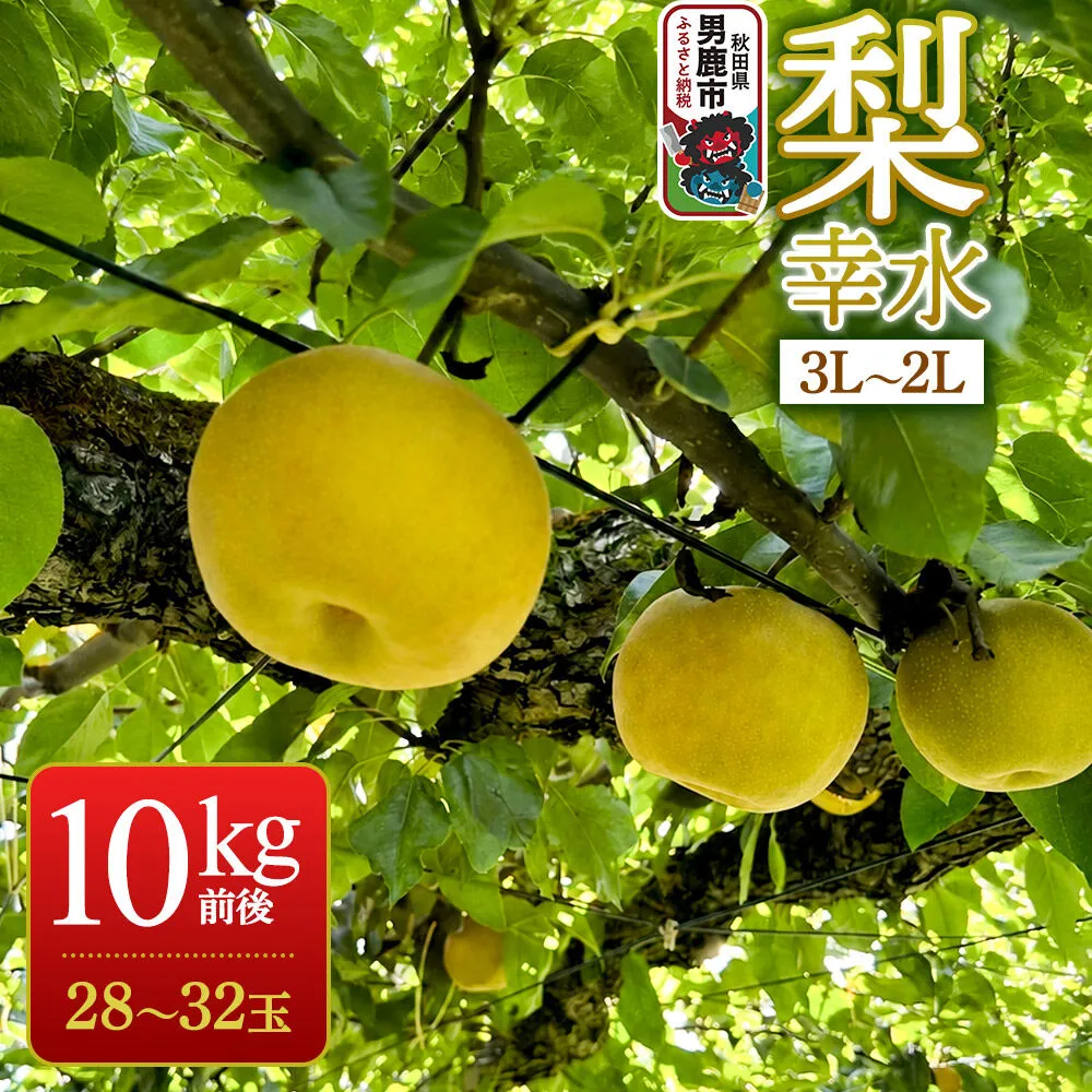 (10玉〜12玉サイズ南水梨)約10kg贈答用★送料込★秋田県産 先行受付》梨 幸水 10kg前後（3L〜2L）28〜32玉 秋田なまはげ農業協同
