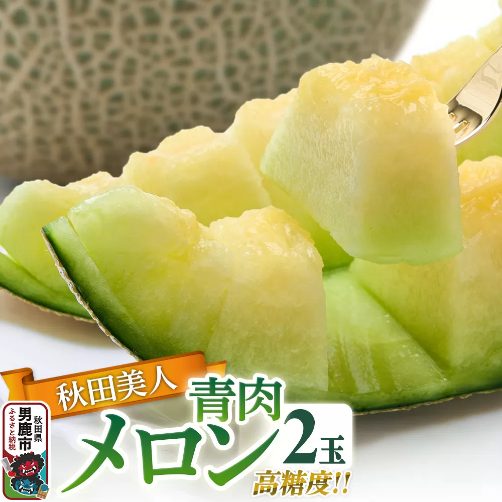 R7年度産 先行受付 メロン2玉（秋田美人） 秋田県 男鹿市