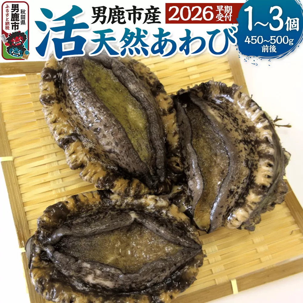 《2026年7月中旬〜8月下旬発送》男鹿産天然鮑 2個 (約250〜280g) あわび アワビ 秋田 男鹿産 