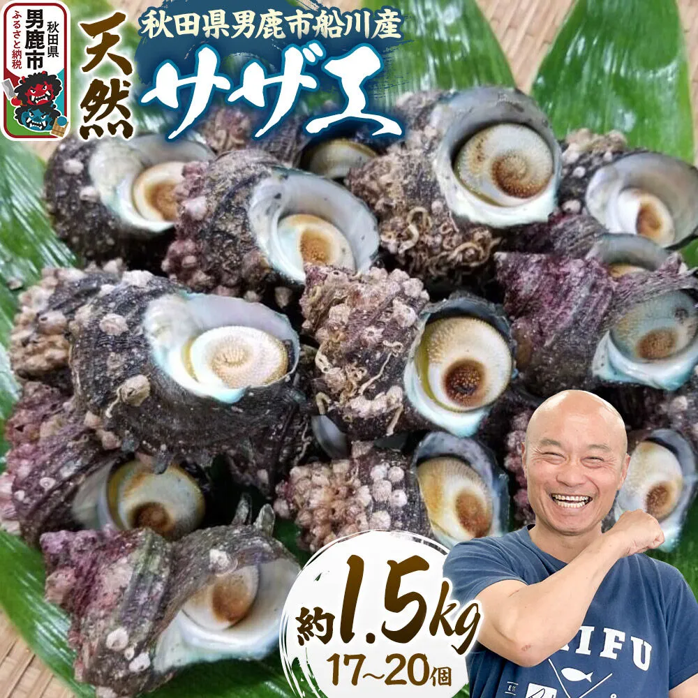 サザエ 約1.5kg 17個〜20個前後入り 秋田県男鹿市 つりショップ海風 [さざえ 海鮮 BBQ 天然 刺身 栄螺 つぼ焼き壺焼き つまみ 国産] 秋田県男鹿市