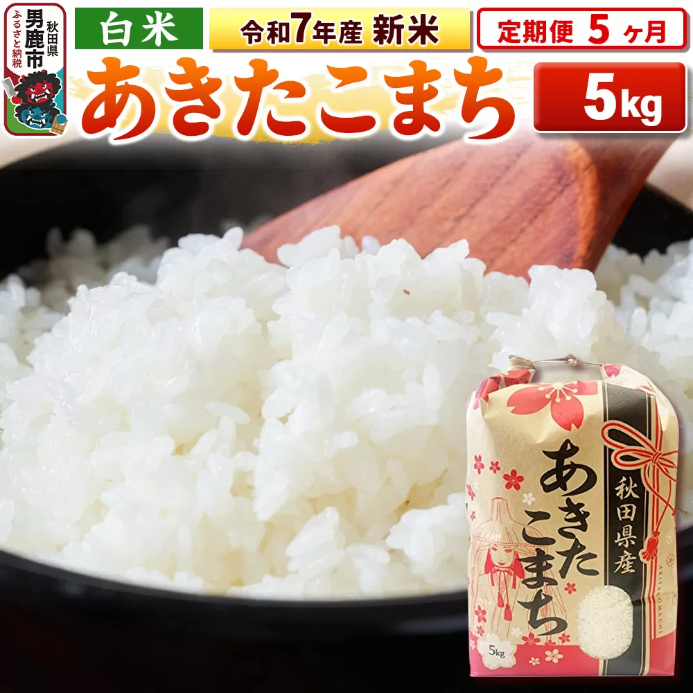 《定期便5ヶ月》令和7年産 新米 【白米】秋田県産 あきたこまち 5kg 男鹿市