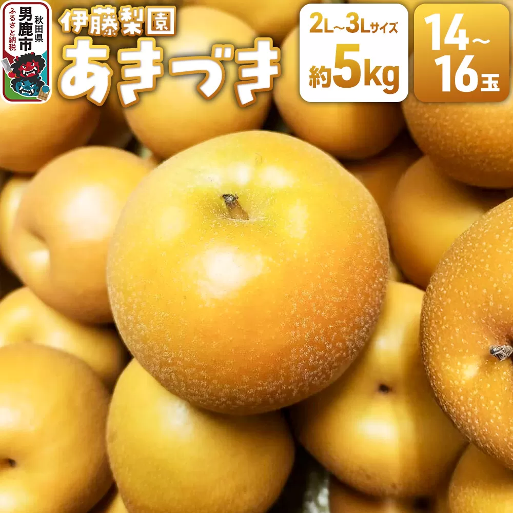 [先行受付] 男鹿梨 あきづき 梨 約5kg 「伊藤梨園」 2L〜3L 14玉〜16玉 秋田県 男鹿市 秋田県男鹿市