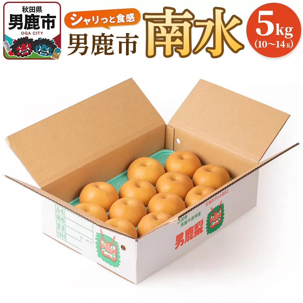 【令和7年度 早期受付】南水 5kg 10玉〜14玉 梨 なし ナシ 秋田県 男鹿市 旬の果物 フルーツ