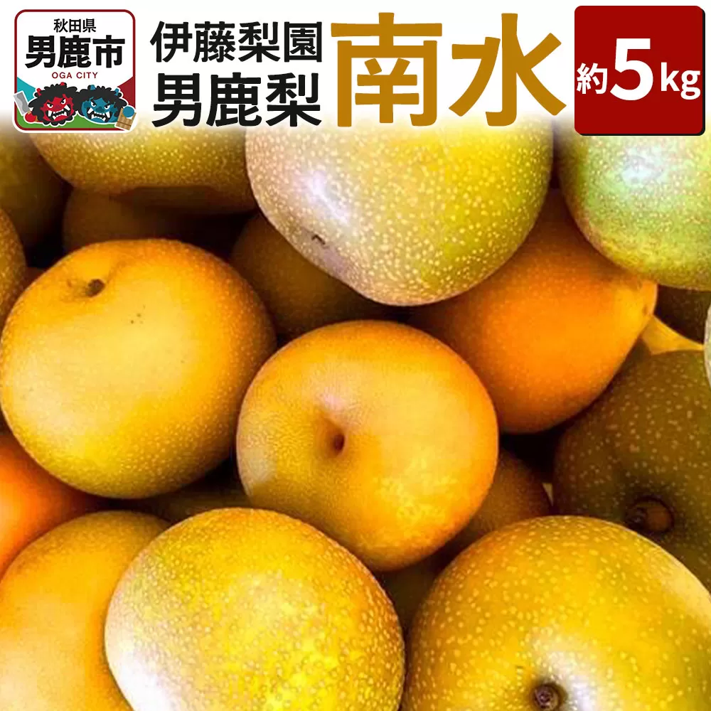 [先行受付]男鹿梨 「伊藤梨園」の南水 梨 約5kg 2L〜3L 14玉〜16玉 秋田県 男鹿市 旬の果物 2026年10月中旬以降出荷 秋田県男鹿市