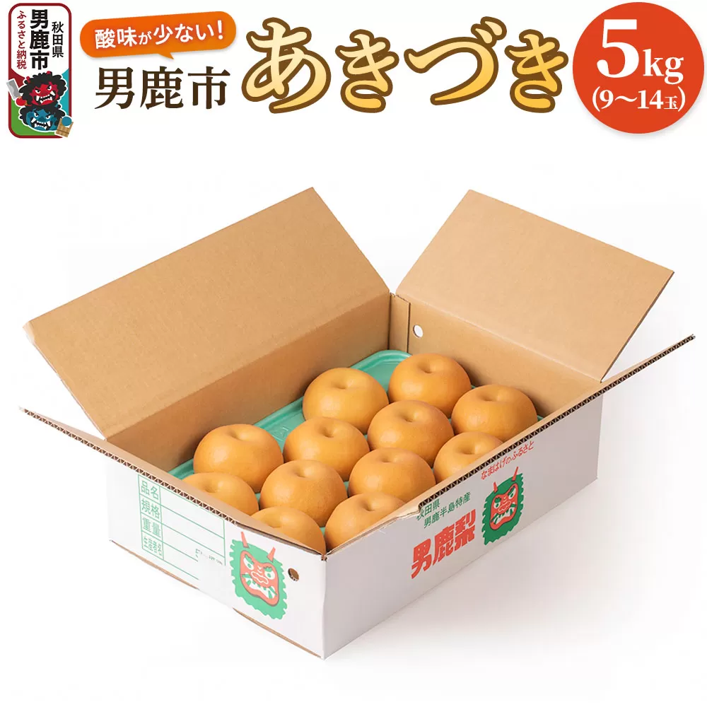 【令和8年度 早期受付】あきづき 5kg 9〜14玉 梨 なし ナシ 秋田県 男鹿市 旬の果物 フルーツ 秋田県男鹿市