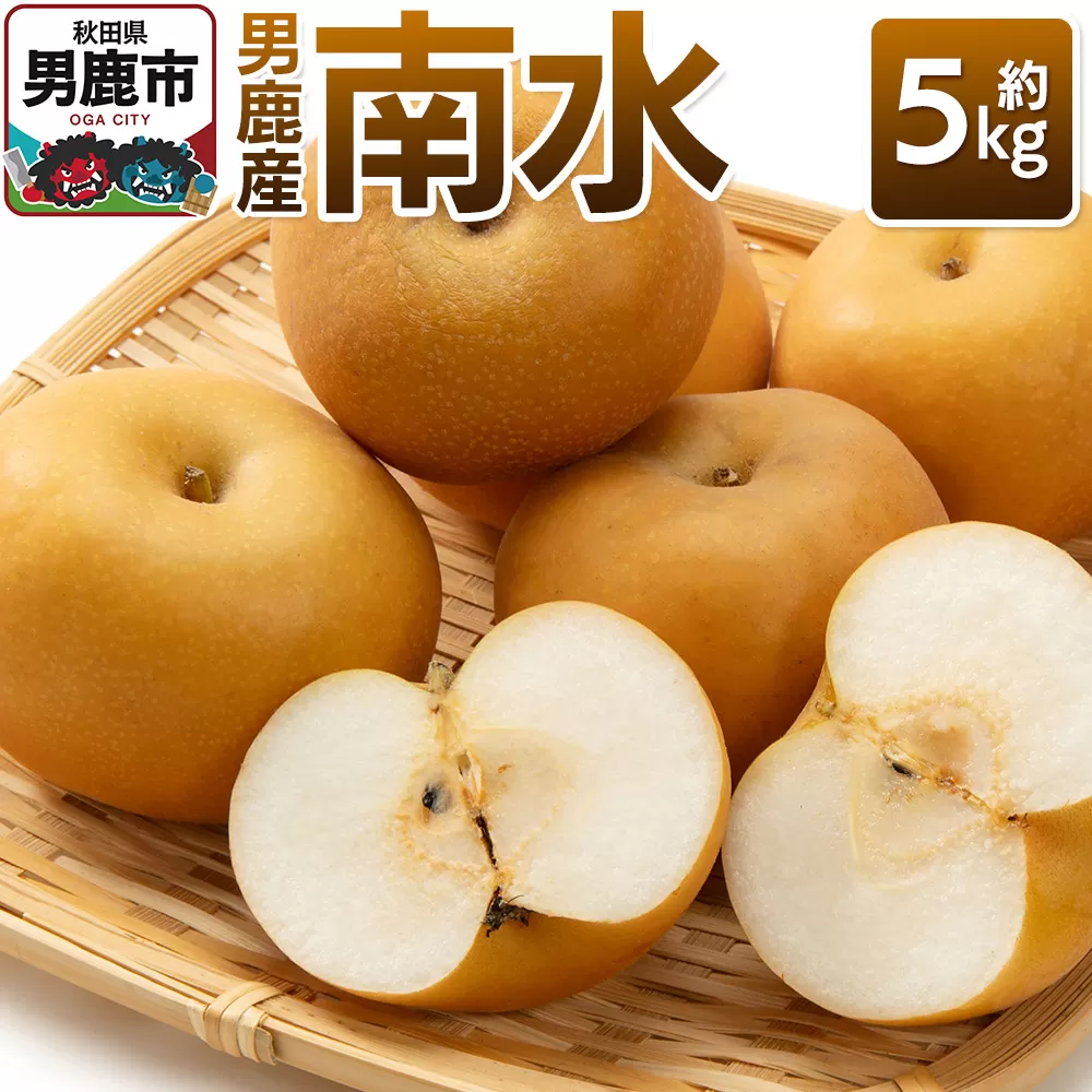 【令和8年度 早期受付】 南水 約5kg 10月中旬〜11月中旬発送 梨 旬の果物 ギフト 秋田県 男鹿市 男鹿ファーム直売所 秋田県男鹿市