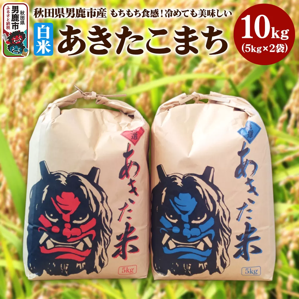 【先行受付】令和7年産 あきたこまち 精米 単一原料米 10kg（5kg×2袋）秋田県 男鹿市 男鹿市