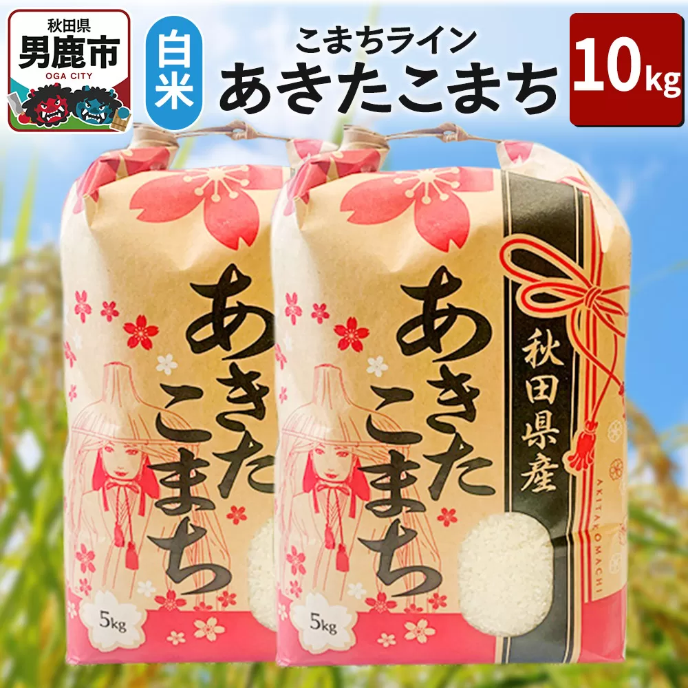 令和6年産【白米】秋田県産 あきたこまち 10kg（5kg×2袋）秋田県 男鹿市 こまちライン