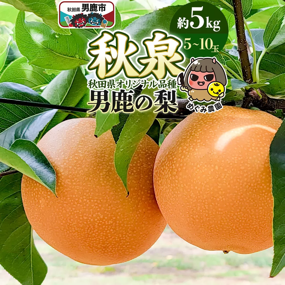 先行受付 男鹿の梨 秋田県オリジナル品種 秋泉 約5kg 5〜10玉 梨 秋田県 男鹿市 ＜めぐみ農園＞
