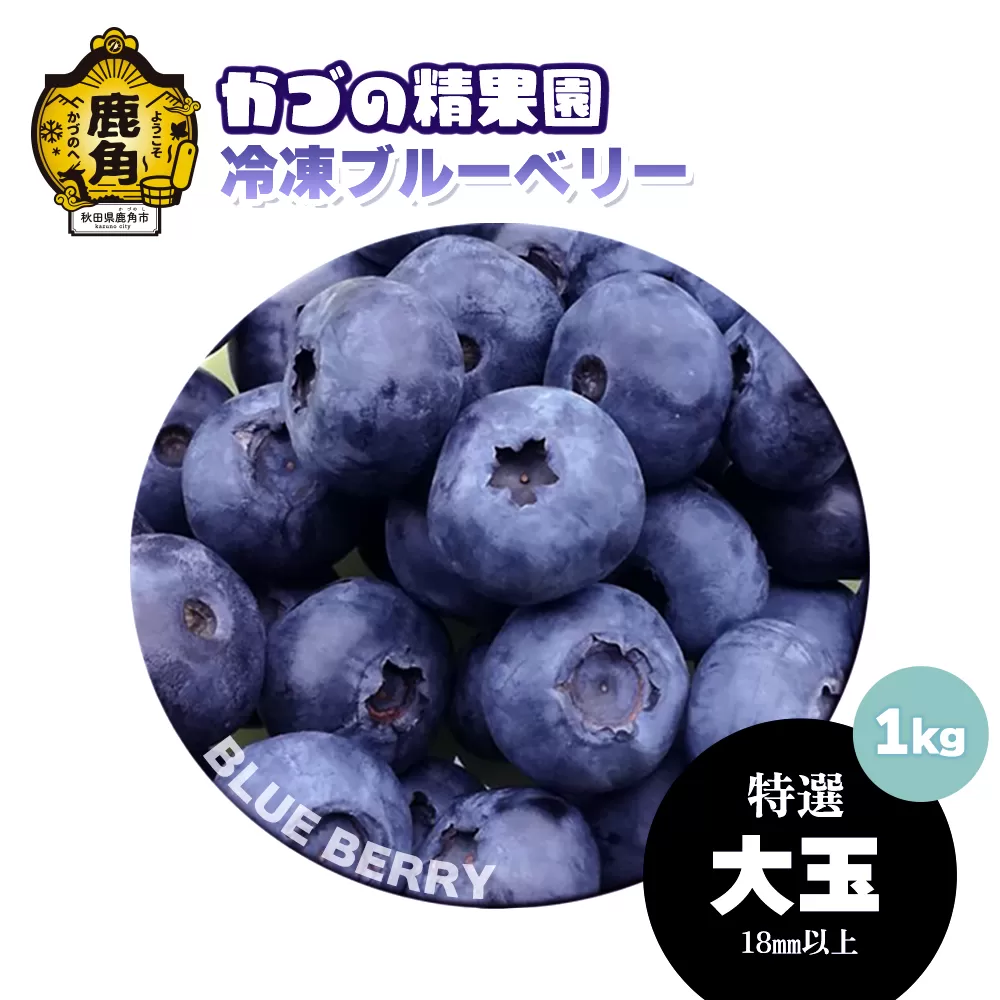 ブルーベリー（冷凍）特選 大玉 1kg【かづの精果園】