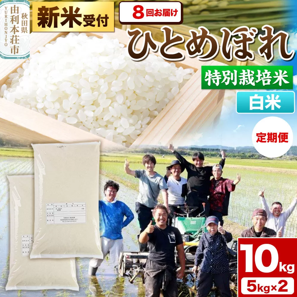 《新米予約》《定期便8ヶ月》令和8年産【白米】特別栽培米 ひとめぼれ 10kg（5kg×2袋）秋田県産 [ひとめぼれ 米 お米 白米 精米 特別栽培米 ブランド米 食卓 秋田県産 秋田県 由利本荘市] 秋田県由利本荘市