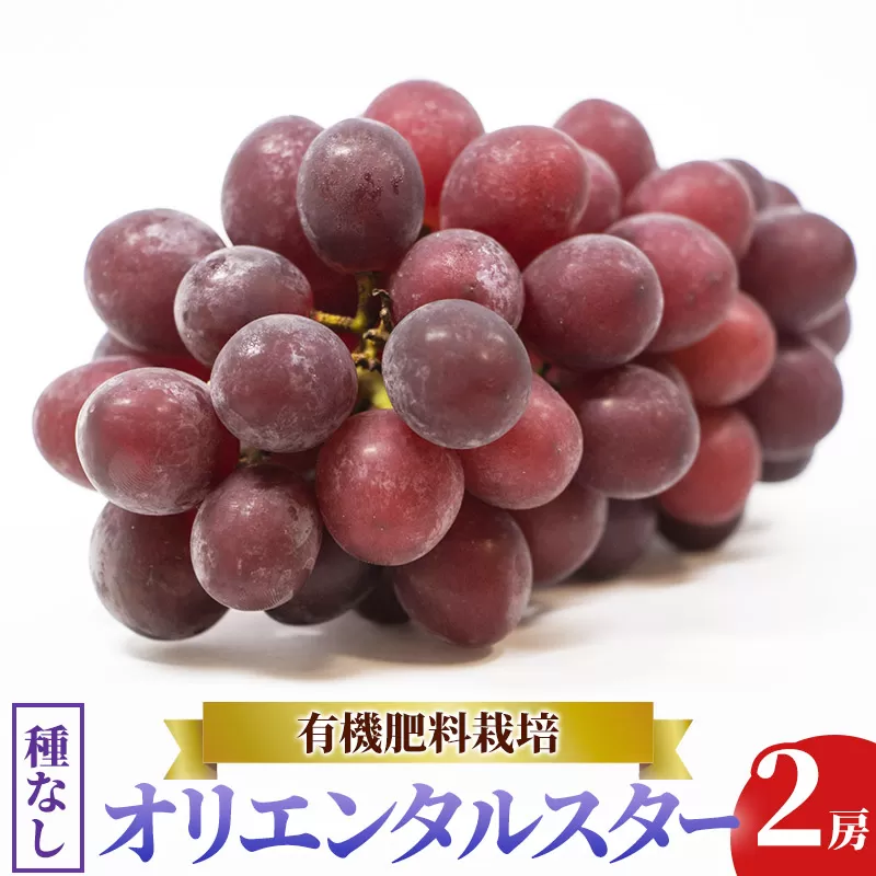 齋弥果樹園 オリエンタルスター 秋田県産 約1kg