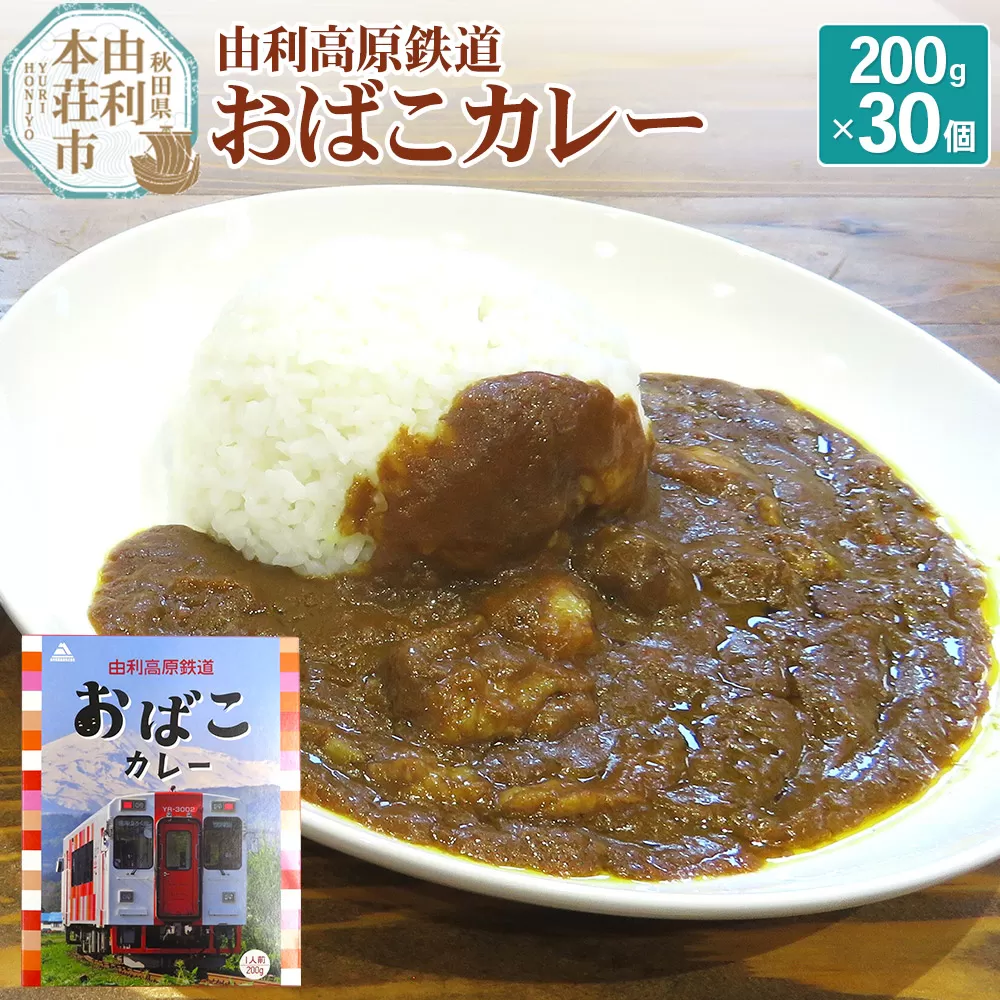 由利高原鉄道 おばこカレー 中辛 200g×30個セット
