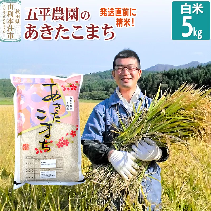 【白米】あきたこまち 5kg 令和7年産 秋田県産 五平農園のあきたこまち お米 米 こめ 五平農園 秋田県由利本荘市