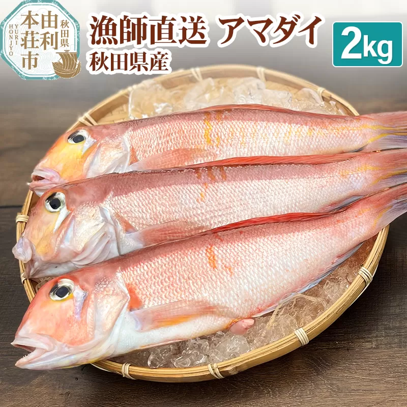 漁師直送 甘鯛 (あまだい)  秋田県産 2kg (配送期間 5月〜10月末予定、期間外は次期予約扱い)