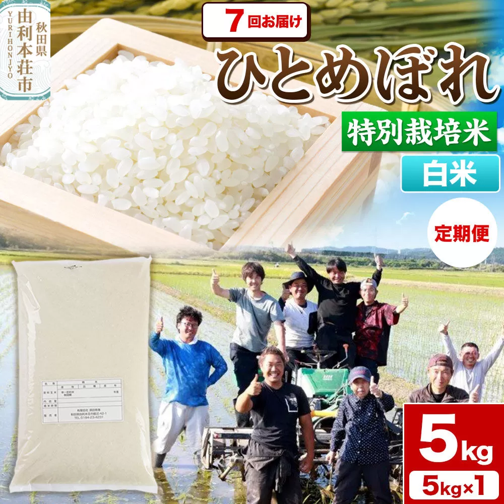 《定期便7ヶ月》令和7年産【白米】特別栽培米 ひとめぼれ 5kg 秋田県産 [ひとめぼれ 米 お米 白米 精米 特別栽培米 ブランド米 食卓 秋田県産 秋田県 由利本荘市] 秋田県由利本荘市