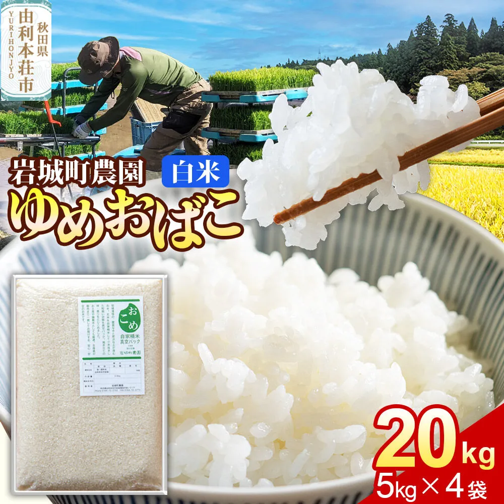 【白米】ゆめおばこ 秋田県産 岩城町農園のゆめおばこ 20kg（5kg×4袋）令和7年産 真空パック [ゆめおばこ 米 お米 こめ 白米 精米 食卓 ご飯 ごはん おにぎり 秋田県 由利本荘市] 秋田県由利本荘市
