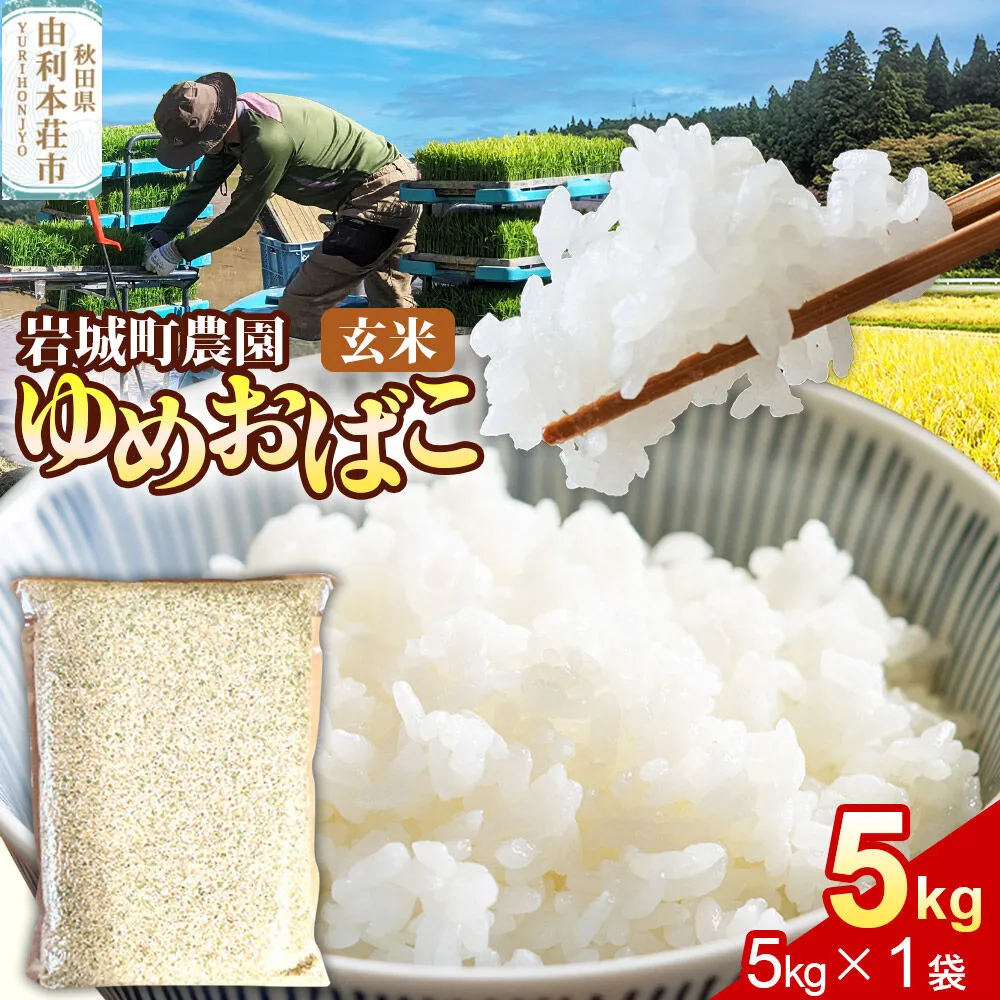 【玄米】ゆめおばこ 秋田県産 岩城町農園のゆめおばこ 5kg（5kg×1袋）令和7年産 真空パック [ゆめおばこ 米 お米 こめ 玄米 食卓 ご飯 ごはん おにぎり 秋田県 由利本荘市] 秋田県由利本荘市