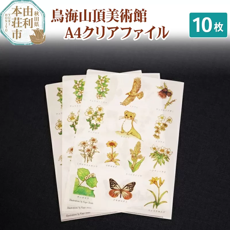 鳥海山頂美術館A4クリアファイル ×10枚