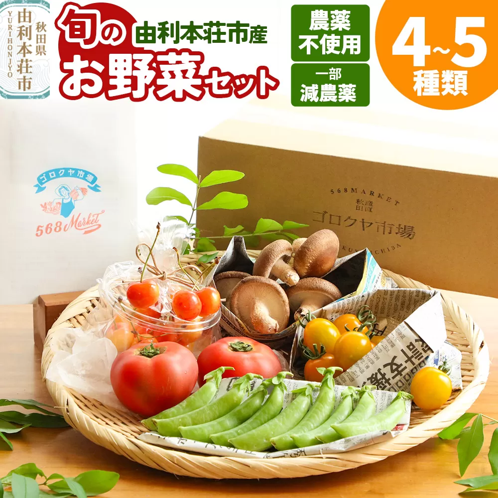 旬のお野菜セット 秋田県 由利本荘市産 栽培期間中農薬不使用 減農薬