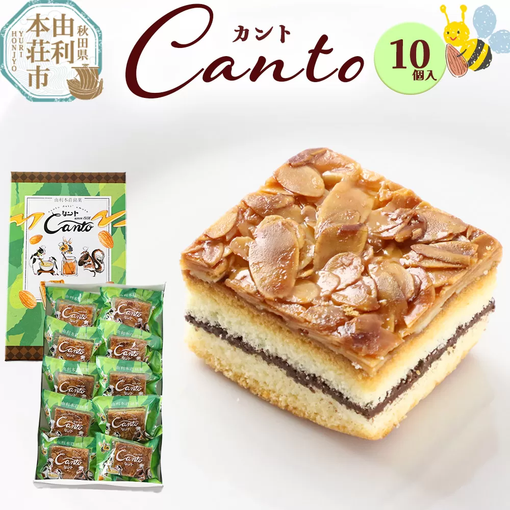 カント 10個入り キャラメルケーキ スイーツ ケーキ クーベルチュール チョコレート 10ケ入 10コ入 箱入