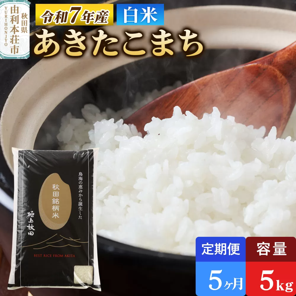 《定期便5ヶ月》令和7年産 【白米】極上秋田銘柄米 あきたこまち 5kg 米 お米 白米 精米 ブランド米 銘柄米 秋田県産 秋田県由利本荘市