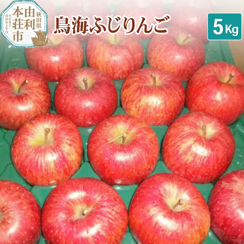 [予約受付]鳥海ふじりんご 5kg 農家直送 林檎 リンゴ 秋田県 由利本荘市 秋田県由利本荘市