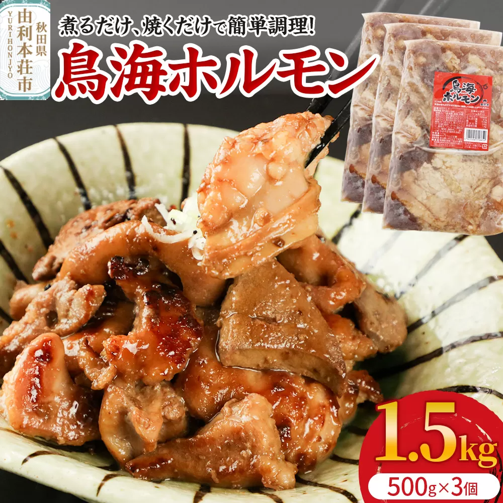 鳥海ホルモン 3個入（500g×3）