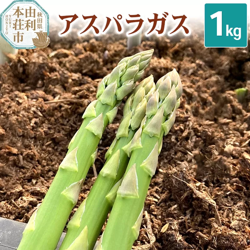 《先行受付》7月上旬〜8月下旬発送 アスパラガス 1kg