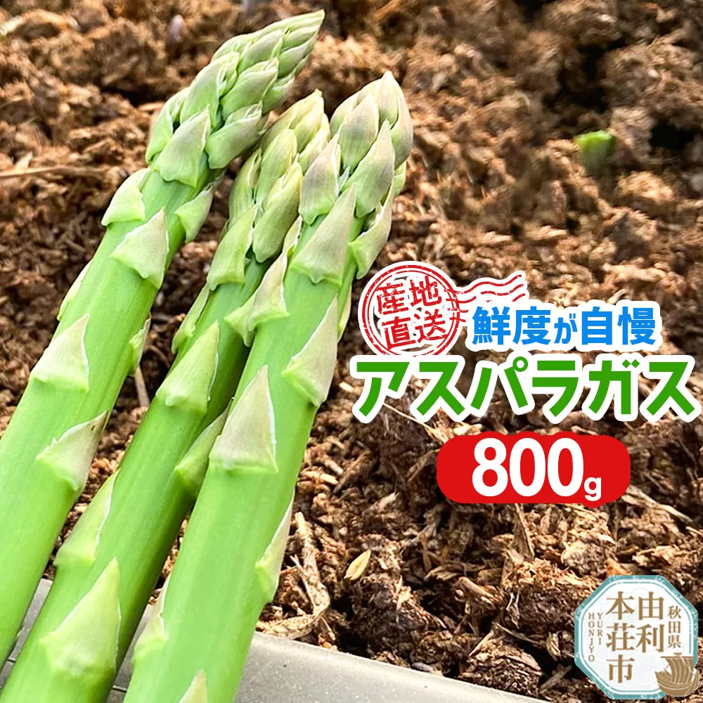 《先行受付》7月上旬〜8月下旬発送 アスパラガス 800g