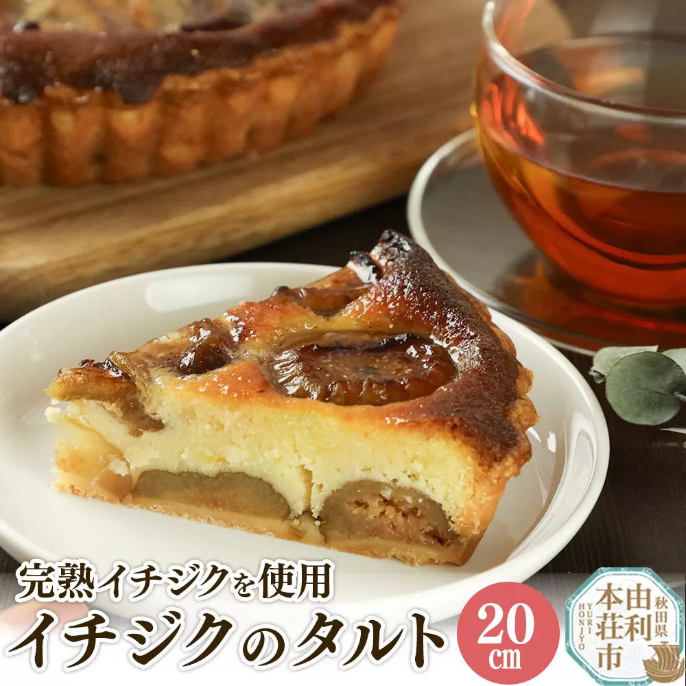 イチジクのタルト 20cm（800g）
