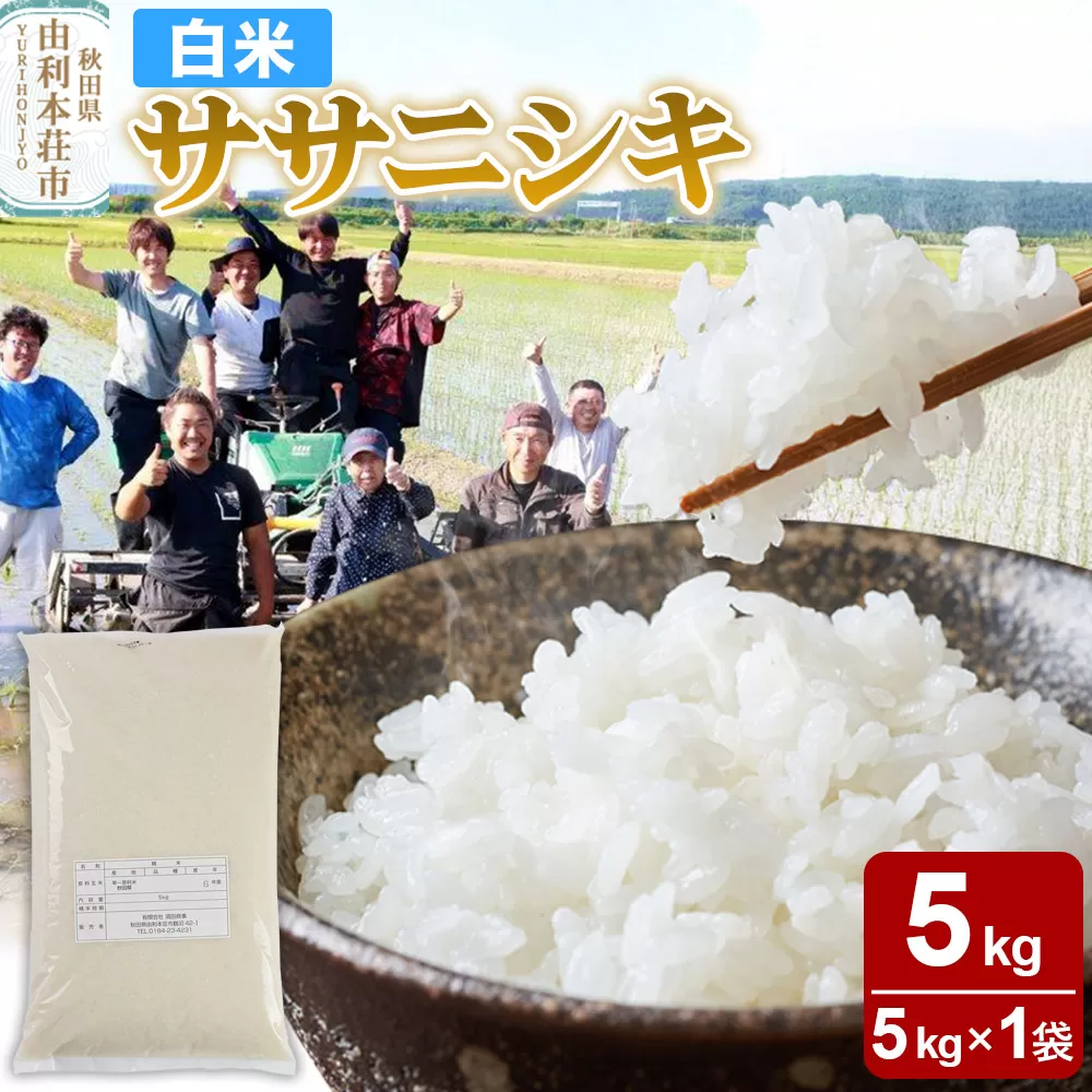 【白米】秋田県由利本荘市産 ササニシキ 5kg（5kg×1袋）令和6年産 秋田県由利本荘市