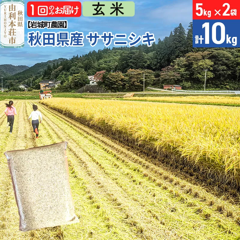 《令和7年産》【玄米】ササニシキ 10kg(5kg×2袋) 秋田県 由利本荘市産 令和7年産 真空パック 岩城町農園 秋田県由利本荘市