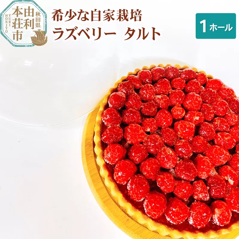 ラズベリータルト 自家栽培 １ホール(直径19cm)