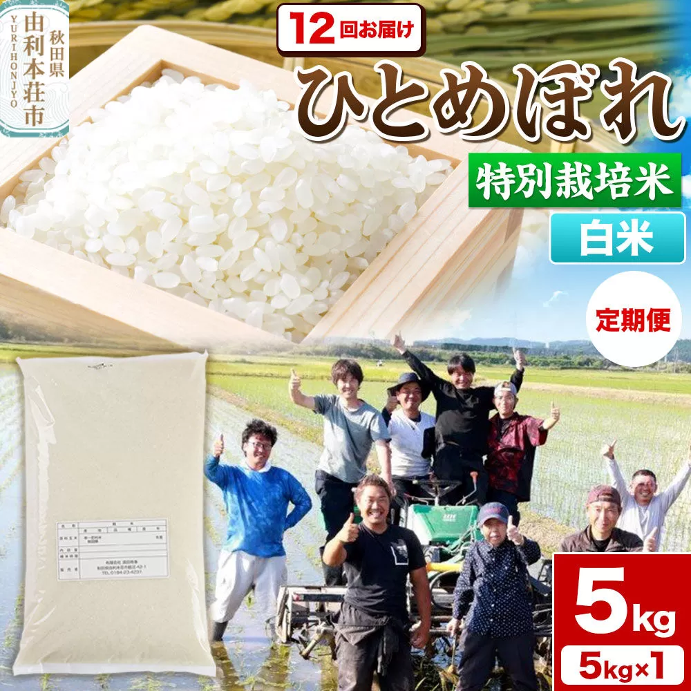 《定期便12ヶ月》令和7年産【白米】特別栽培米 ひとめぼれ 5kg 秋田県産 [ひとめぼれ 米 お米 白米 精米 特別栽培米 ブランド米 食卓 秋田県産 秋田県 由利本荘市] 秋田県由利本荘市