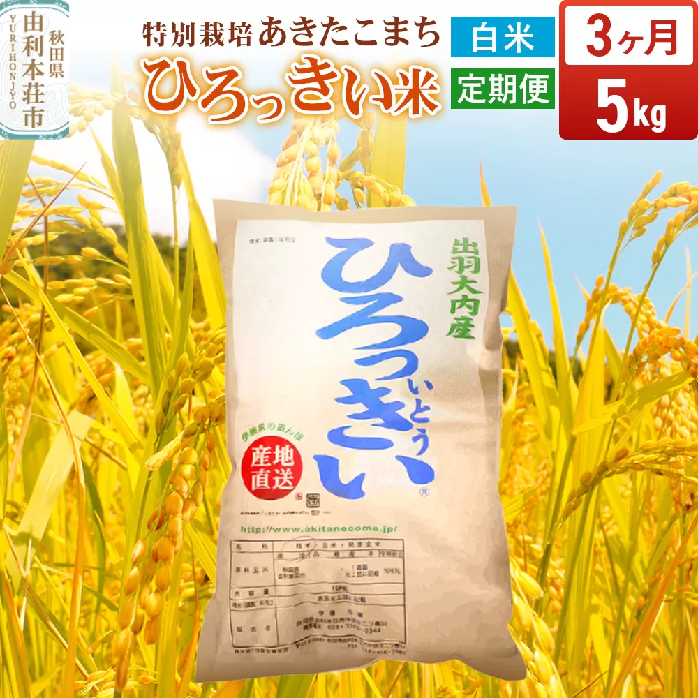 《定期便3ヶ月》【白米】 秋田県産 あきたこまち 5kg 令和7年産 特別栽培米 ひろっきい米 秋田県由利本荘市