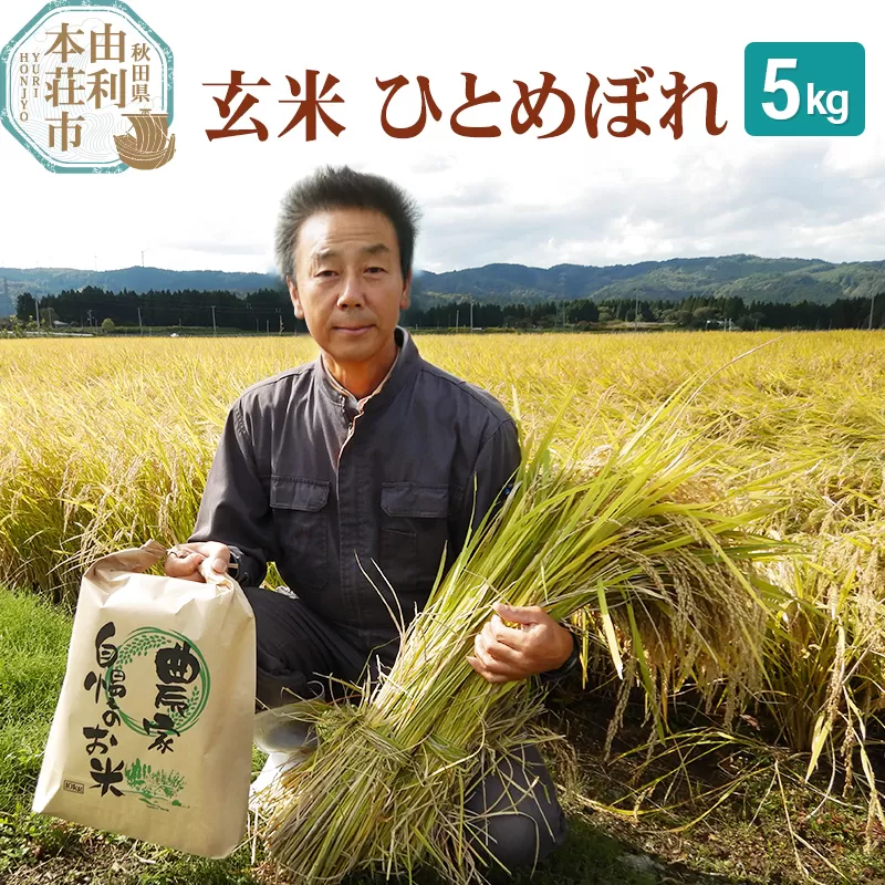 【玄米】 ＜通算5回 特A＞ ひとめぼれ   5kg 令和7年産 農家直送 渡部さんのひとめぼれ [ひとめぼれ 米 お米 こめ 玄米 ブランド米 食卓 おにぎり 秋田県産 秋田県 由利本荘市] 秋田県由利本荘市