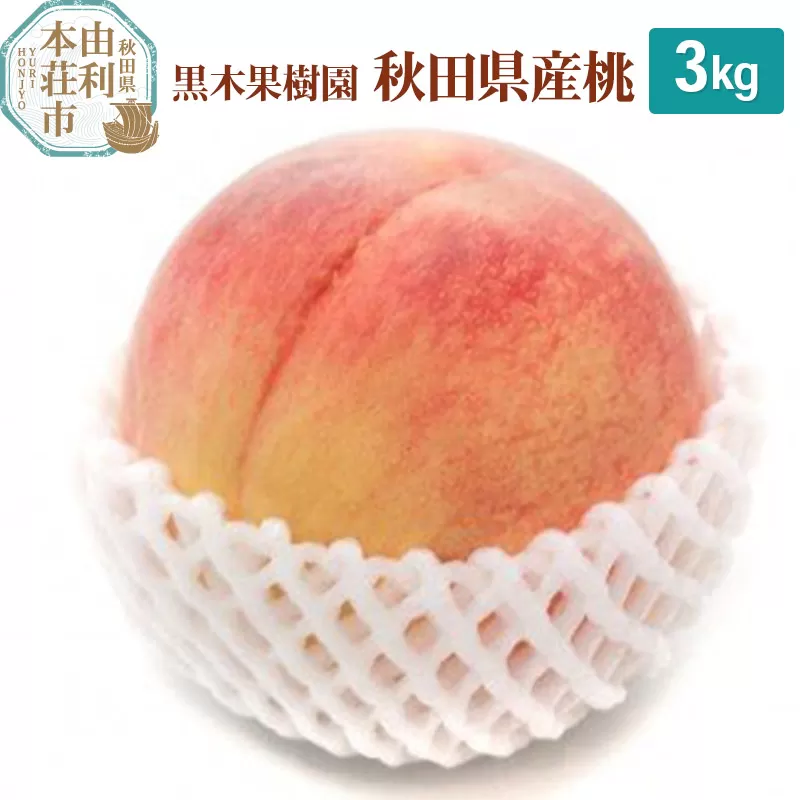 【数量限定】 黒木果樹園 桃 秋田県産 3kg（8月上旬から9月上旬に発送）もも モモ