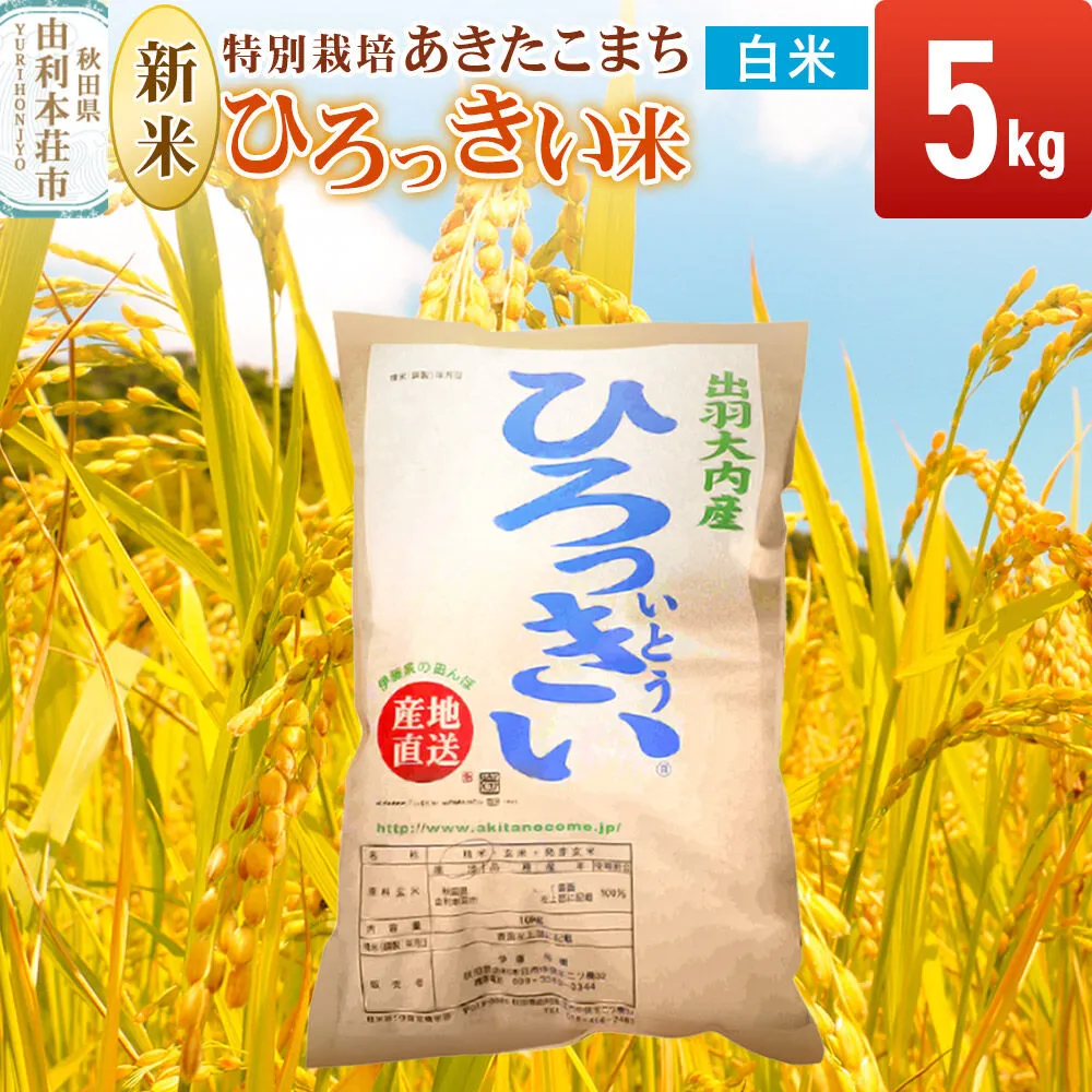 《令和8年産 新米受付》【白米】あきたこまち 5kg 秋田県産  特別栽培米 ひろっきい米 [新米 あきたこまち 米 白米 精米 お米 おこめ ブランド米 食卓 おにぎり 秋田県産 秋田県 由利本荘市] 秋田県由利本荘市