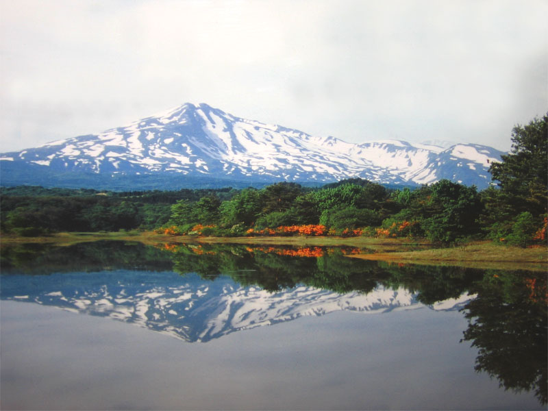 秋田県由利本荘市